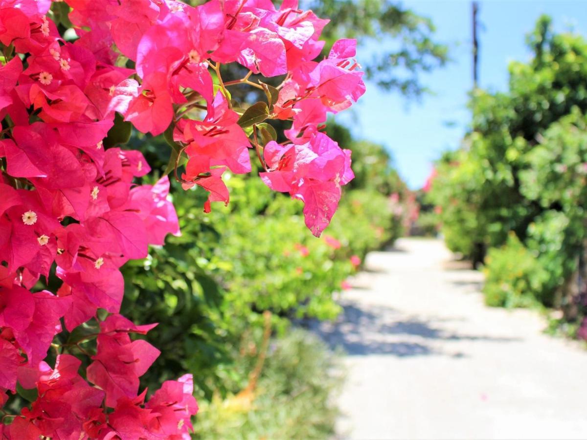 The Avance Hotel Ishigakijima - Vacation Stay 85735V Ishigaki  Exterior foto